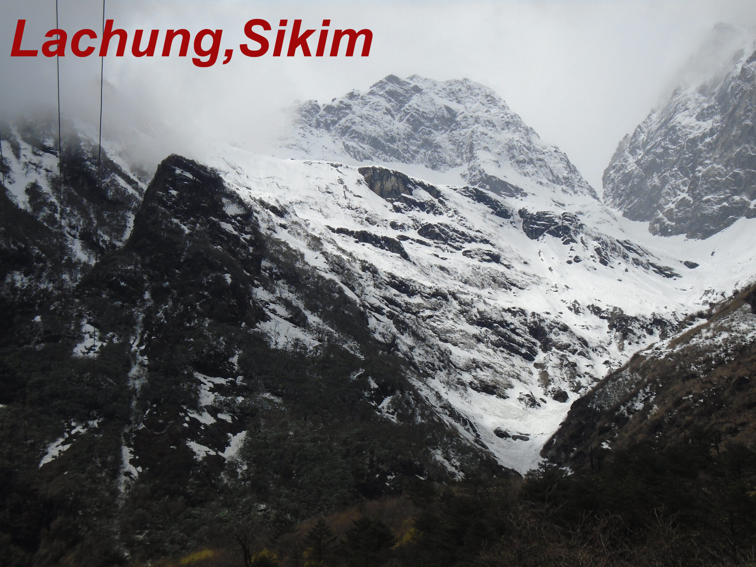 India Sikim Tour
